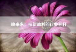 哆来米：拉新盈利的行业标杆