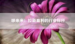 哆来米：拉新盈利的行业标杆