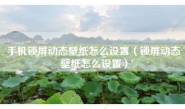 手机锁屏动态壁纸怎么设置（锁屏动态壁纸怎么设置）