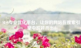 SEO专业优化平台，让你的网站在搜索引擎中脱颖而出！
