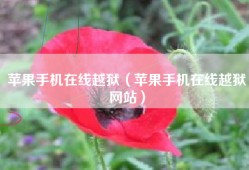 苹果手机在线越狱（苹果手机在线越狱网站）