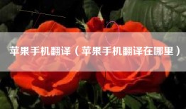 苹果手机翻译（苹果手机翻译在哪里）