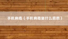 手机病毒（手机病毒是什么意思）