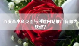 百度基木鱼页面与自建网站推广有哪优缺点？