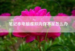 笔记本电脑虚拟内存不足怎么办