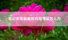 笔记本电脑虚拟内存不足怎么办