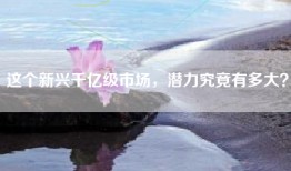 这个新兴千亿级市场，潜力究竟有多大？