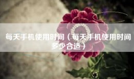 每天手机使用时间（每天手机使用时间多少合适）