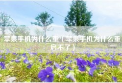 苹果手机为什么重（苹果手机为什么重启不了）