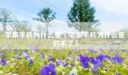 苹果手机为什么重（苹果手机为什么重启不了）