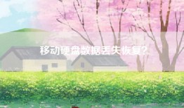 移动硬盘数据丢失恢复？