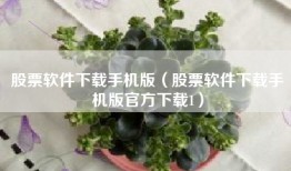 股票软件下载手机版（股票软件下载手机版官方下载1）