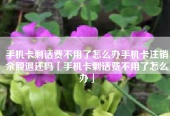 手机卡剩话费不用了怎么办手机卡注销余额退还吗「手机卡剩话费不用了怎么办」