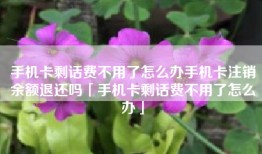 手机卡剩话费不用了怎么办手机卡注销余额退还吗「手机卡剩话费不用了怎么办」