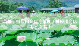 苹果手机应用商店（苹果手机应用商店怎么下载）