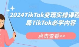 2024TikTok变现实操课程，入局TikTok必学内容 –B计划—分享创业资讯-最新网络项目资源-源码-网盘资料