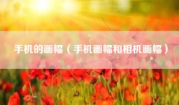 手机的画幅（手机画幅和相机画幅）