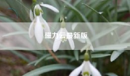 磁力云最新版