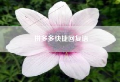 拼多多快捷回复语