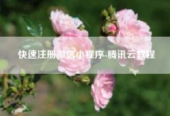 快速注册微信小程序-腾讯云教程