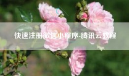 快速注册微信小程序-腾讯云教程