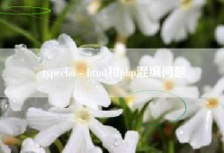 typecho - html和php混编问题