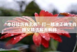 “本日挂历有玄机”打一精准正确生肖，释义精选解答解释