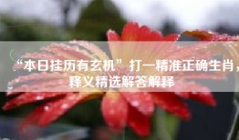 “本日挂历有玄机”打一精准正确生肖，释义精选解答解释