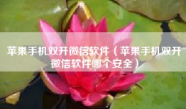 苹果手机双开微信软件（苹果手机双开微信软件哪个安全）