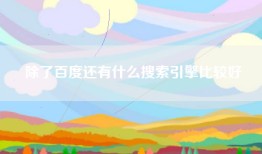 除了百度还有什么搜索引擎比较好