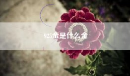 925金是什么金