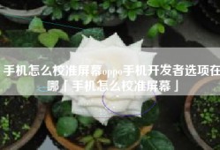 手机怎么校准屏幕oppo手机开发者选项在哪「手机怎么校准屏幕」