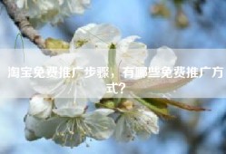 淘宝免费推广步骤，有哪些免费推广方式？