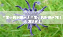 苹果手机的由来（苹果手机的由来为什么叫苹果）