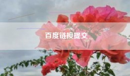百度链接提交
