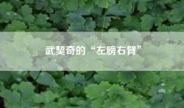武契奇的“左膀右臂”