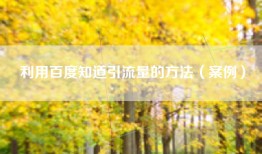 利用百度知道引流量的方法（案例）
