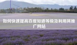 如何快速提高百度知道等级及利用其推广网站