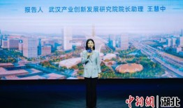 中新网湖北 湖北新闻网 武汉奋力打造具有全国影响力的科技创新高地