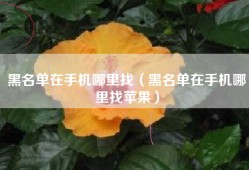 黑名单在手机哪里找（黑名单在手机哪里找苹果）