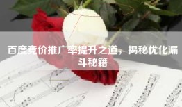 百度竞价推广率提升之道，揭秘优化漏斗秘籍