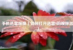 手机迅雷探嗅（如何打开迅雷9的嗅探器）