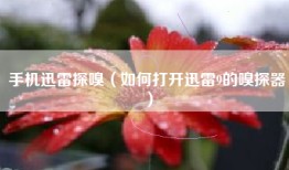 手机迅雷探嗅（如何打开迅雷9的嗅探器）