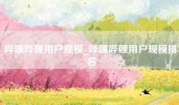 哔哩哔哩用户规模_哔哩哔哩用户规模排名