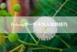 Pycharm中一些不为人知的技巧
