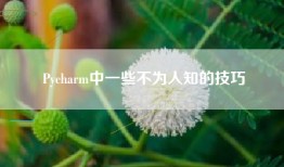 Pycharm中一些不为人知的技巧