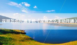 花呗怎么开通手机（花呗怎么手动开通）