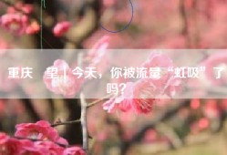 重庆瞭望｜今天，你被流量“虹吸”了吗？