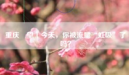 重庆瞭望｜今天，你被流量“虹吸”了吗？