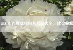 2020年百度优化排名方法大全，建议收藏